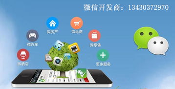 【b2b2c商城系統(tǒng)開發(fā)】