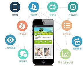 網(wǎng)絡(luò)商城開發(fā)解決方案和應(yīng)用案例 凱億科技