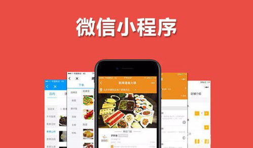娃哈哈妙眠商業(yè)模式系統(tǒng)開發(fā)