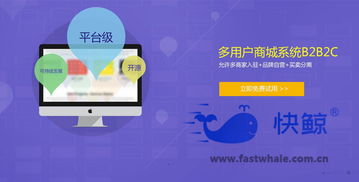 b2b2c多用戶商城系統(tǒng)搭建流程詳解
