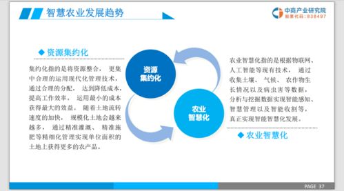2019年智慧農(nóng)業(yè)行業(yè)市場前景研究報告 